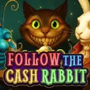 Follow the Cash Rabbit